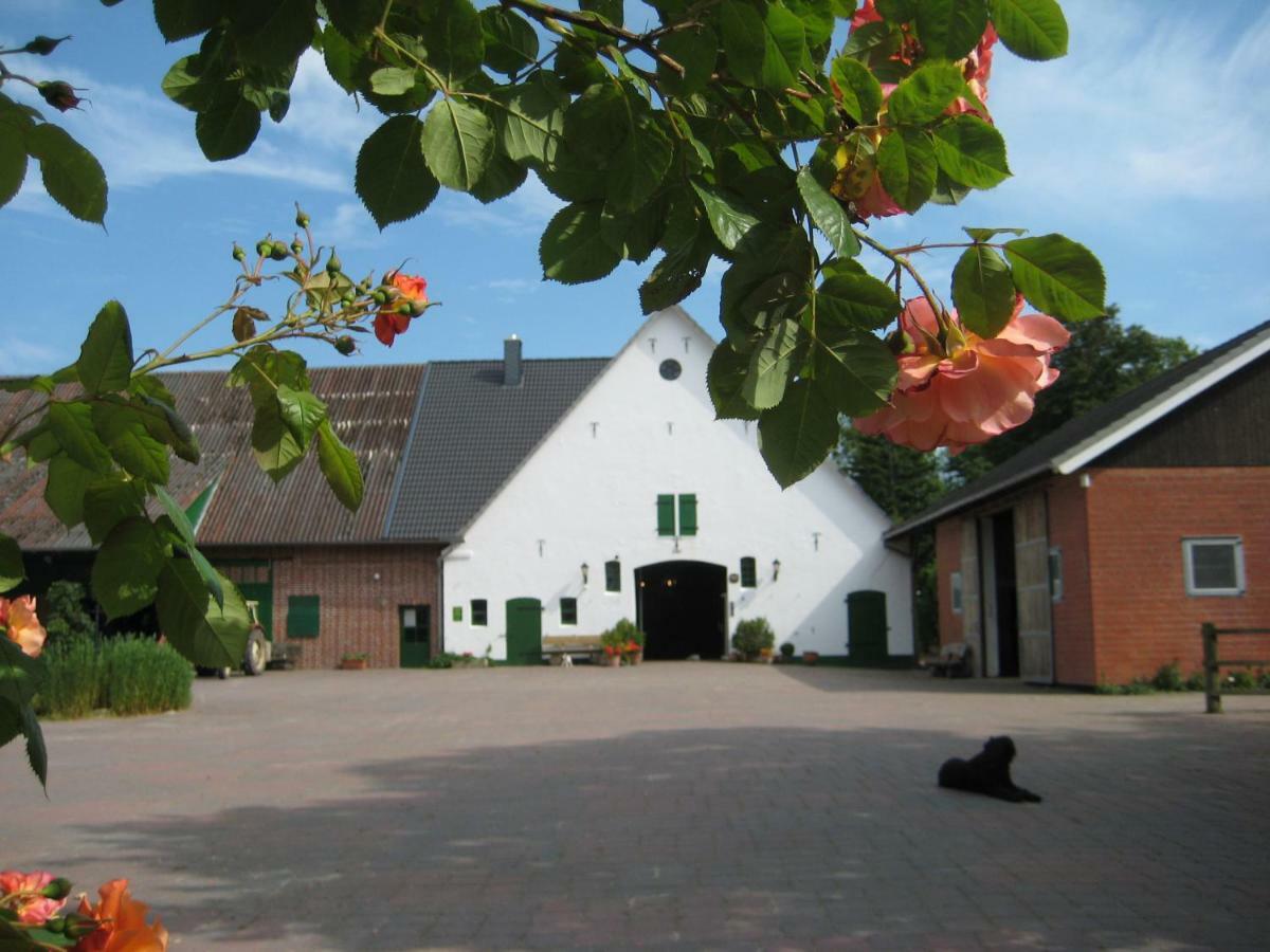 Apartmán Wrede-Hof Cappeler Niederstrich Exteriér fotografie